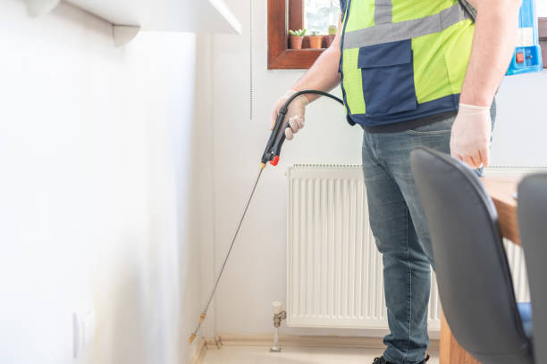 Best Rat Extermination Near Me  in Las Lomas, CA