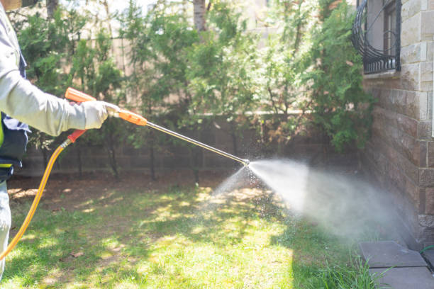 Bird Control in Las Lomas, CA