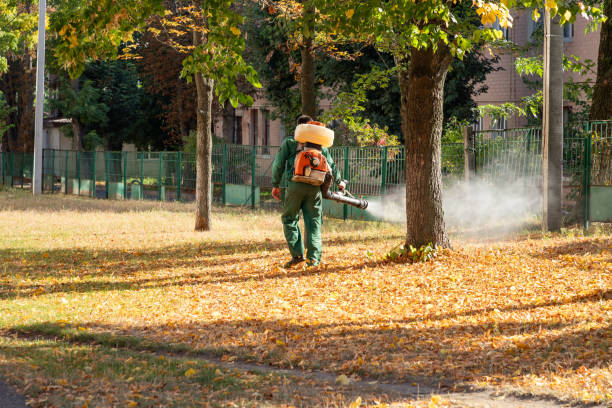 Best Pest Inspection Near Me  in Las Lomas, CA