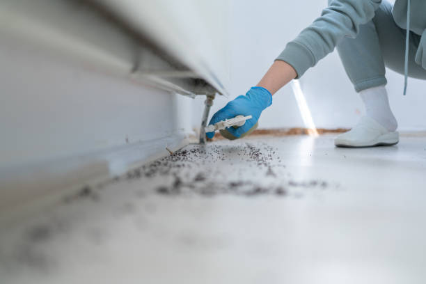 Best Wildlife Control Services  in Las Lomas, CA